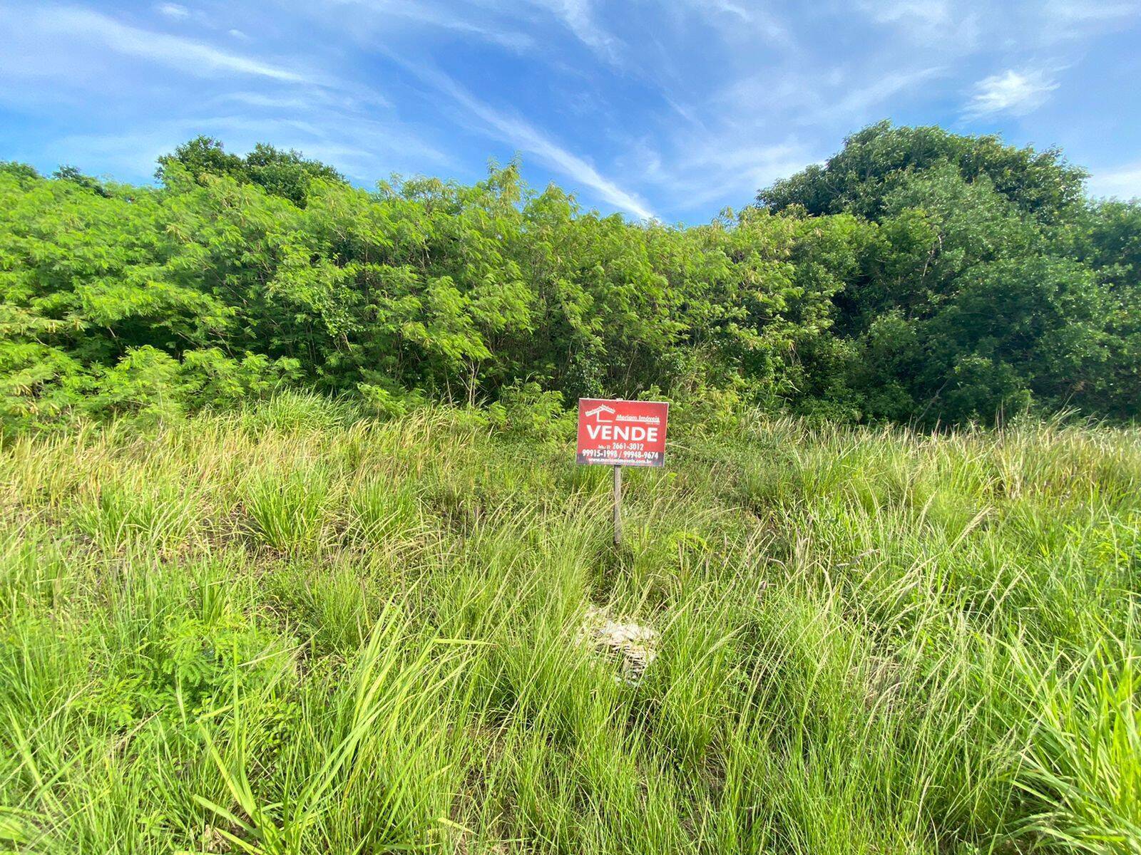 Terreno à venda, 800m² - Foto 1