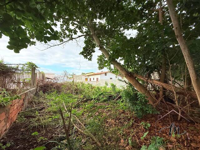 Terreno para Venda em Araruama - 5